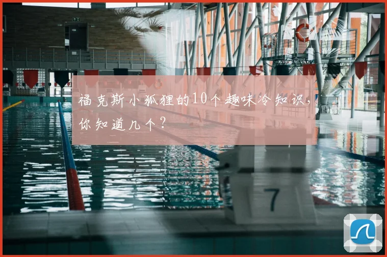 福克斯小狐狸的10个趣味冷知识,你知道几个?